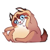 Kooky Cat WhatsApp Sticker #7