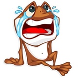 Mr. Frogo WhatsApp Sticker #16
