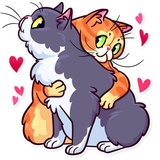 Meme Cats WhatsApp Sticker #10