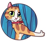 Meme Cats WhatsApp Sticker #3