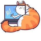 Meme Cats WhatsApp Sticker #5