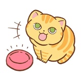 Orange Cat WhatsApp Sticker #4