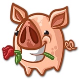Piggy WhatsApp Sticker #16