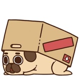 Puglie Pug WhatsApp Sticker #13