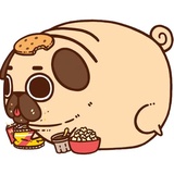 Puglie Pug WhatsApp Sticker #19