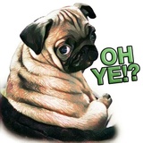 Pugsters WhatsApp Sticker #20