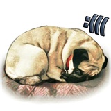 Pugsters WhatsApp Sticker #21