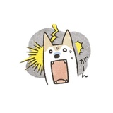 Shiba Inu Memes WhatsApp Sticker #19