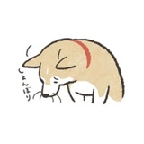 Shiba Inu Memes WhatsApp Sticker #25