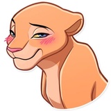 Simba WhatsApp Sticker #22