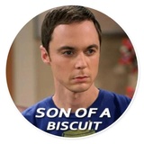 The Big Bang theory WhatsApp Sticker #6