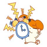 TOTTOKO WhatsApp Sticker #18