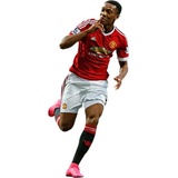 Unites WhatsApp Sticker #13