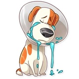 The Secret Life of Pets WhatsApp Sticker #7