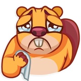 Troy Beaver WhatsApp Sticker #30
