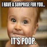 Fun & Joke WhatsApp Sticker #12