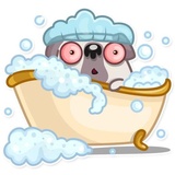 Water Pug WhatsApp Sticker #6