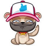 Zac The Pug WhatsApp Sticker #2