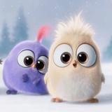 Angry Birds Photos WhatsApp Sticker #14
