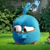 Angry Birds Photos WhatsApp Sticker #15