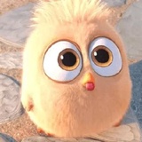 Angry Birds Photos WhatsApp Sticker #18