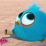 Angry Birds Photos WhatsApp Sticker #19
