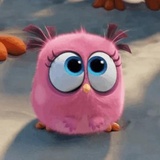 Angry Birds Photos WhatsApp Sticker #30