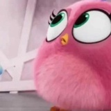 Angry Birds Photos WhatsApp Sticker #4