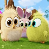 Angry Birds Photos WhatsApp Sticker #5
