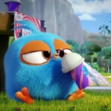 Angry Birds Photos WhatsApp Sticker #9