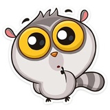 Bin the Lemur WhatsApp Sticker #10