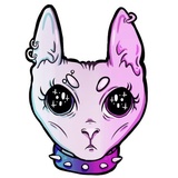 Cat Trip WhatsApp Sticker #2