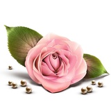 Congratulations WhatsApp Sticker #13