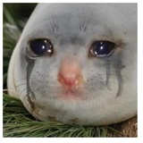 despair WhatsApp Sticker #13