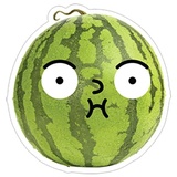 Watermelon WhatsApp Sticker #3