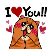 Love Collection WhatsApp Sticker #6
