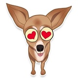 Chihuahua WhatsApp Sticker #13