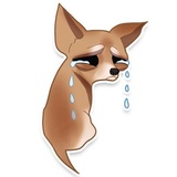 Chihuahua WhatsApp Sticker #5