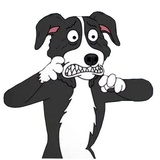 Mr.Pickles WhatsApp Sticker #12