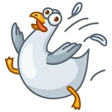 Pigeons WhatsApp Sticker #15