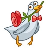 Pigeons WhatsApp Sticker #6