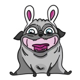 Pug Life Pack WhatsApp Sticker #14