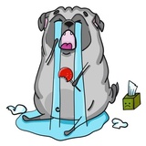 Pug Life Pack WhatsApp Sticker #8