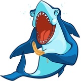 Sharks WhatsApp Sticker #6