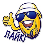 Snow Beach & Rugby WhatsApp Sticker #2