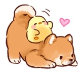 Soft and cute dog Shiba Inu WhatsApp Sticker #14