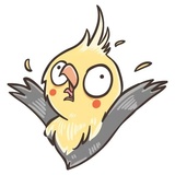 Chii Parrot WhatsApp Sticker #10