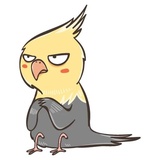 Chii Parrot WhatsApp Sticker #12